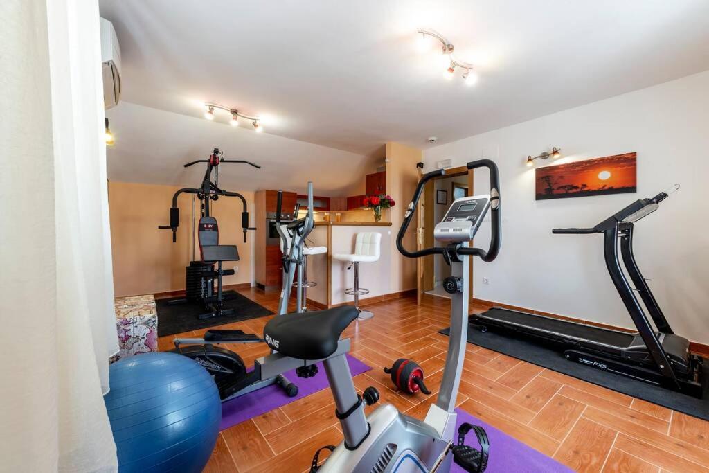 Vila Vergatum-Privacy,Gym,Billiards,Table Tennis Donji Brgat 外观 照片