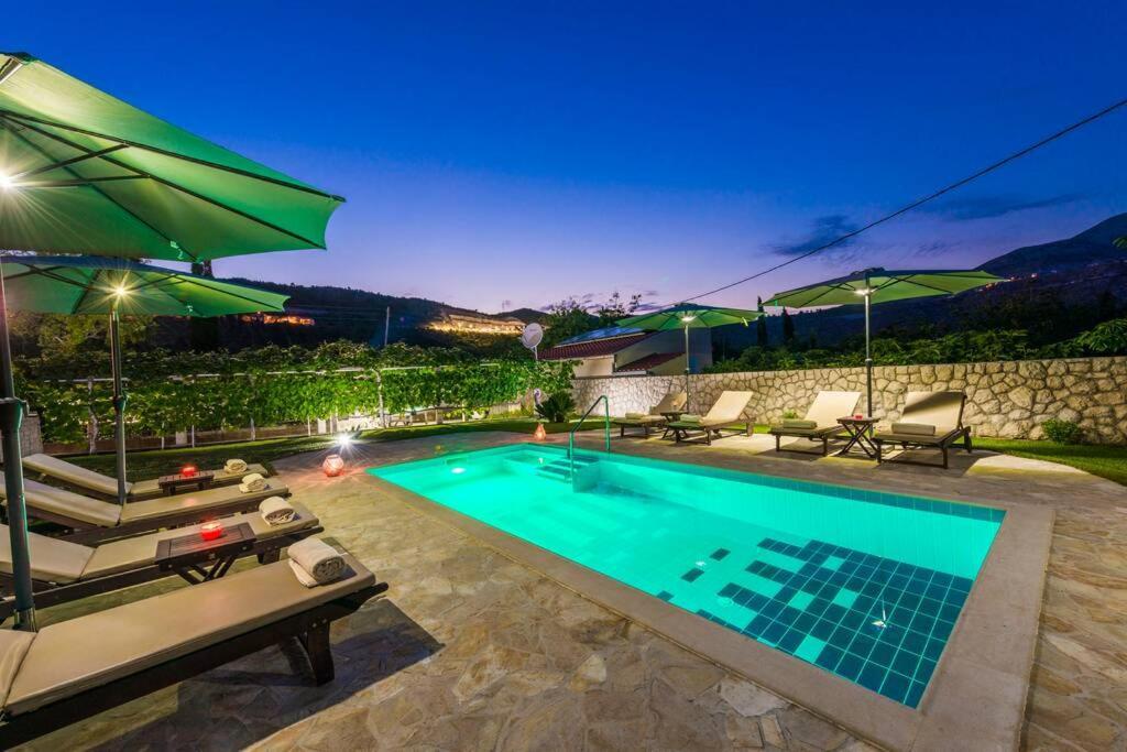 Vila Vergatum-Privacy,Gym,Billiards,Table Tennis Donji Brgat 外观 照片