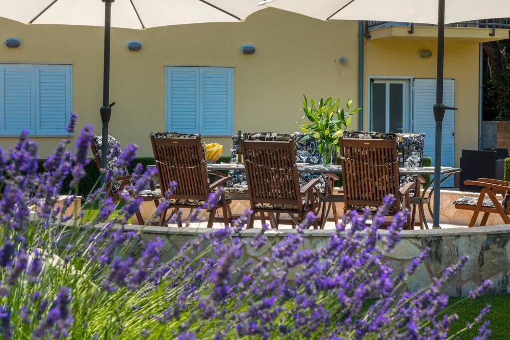 Vila Vergatum-Privacy,Gym,Billiards,Table Tennis Donji Brgat 外观 照片